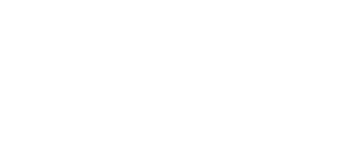va-logo-wit